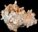 Orange Creedite Crystal Cluster - Durango, Mexico #51667-1